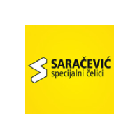 saracevic (1)
